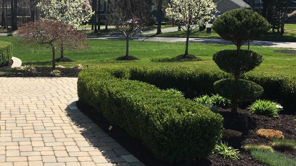 Landscape Planting Ocean Nj